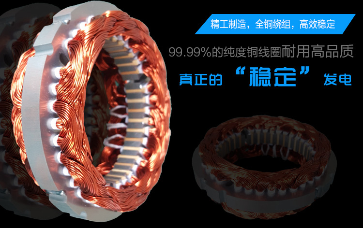300-400W永磁發(fā)電機