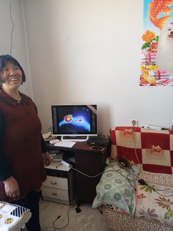 風(fēng)光柴多能互補(bǔ)儲(chǔ)能系統(tǒng)-家用