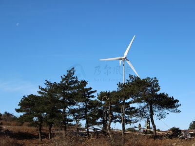 風力發電葉片是什么材質的？